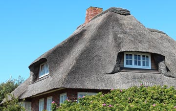 thatch roofing Penparc